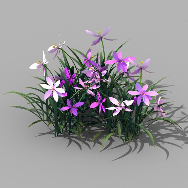 Shanglin Yuan – plants – flowers 03 3D Model