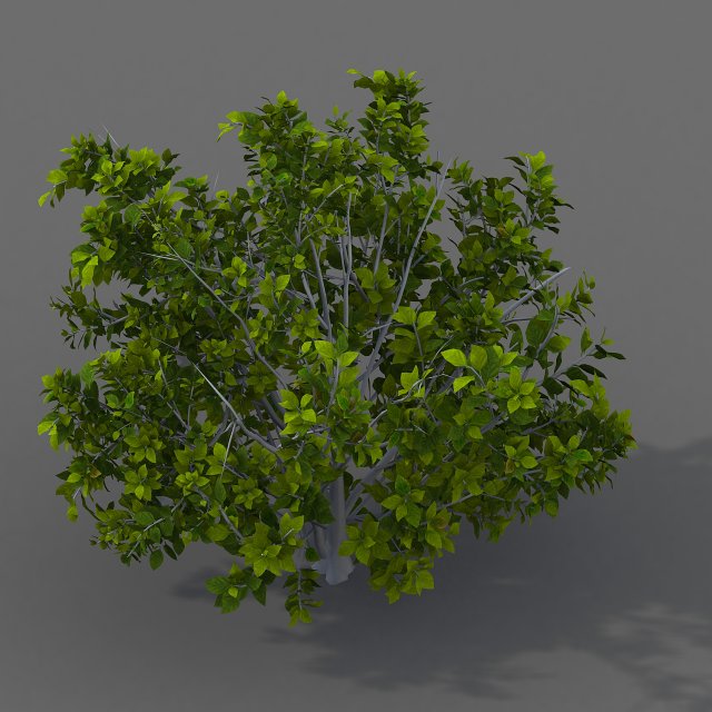 Journey to the West – shrubs 01 3D Model