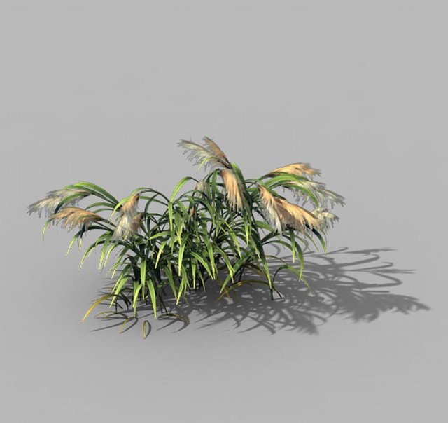 Brutal tribe – reed 02 3D Model