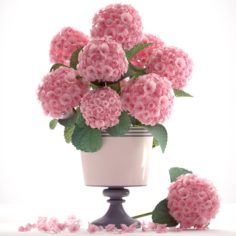 Bouquet of pink Hydrangea 3D Model