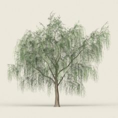 Game Ready Forest Tree 15 3D Model