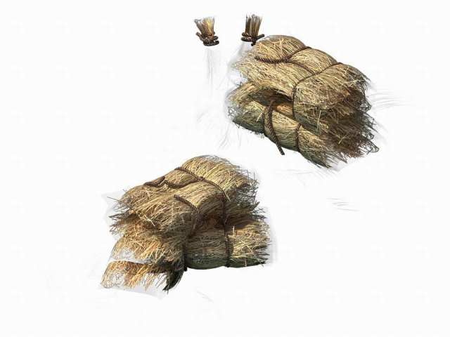 Crop – straw -01 3D Model