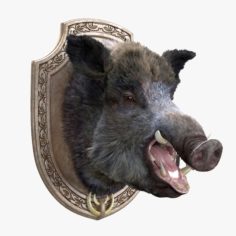 Wild boar head trophy 3D Model