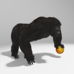 Gorilla rig 3ds max 3D Model