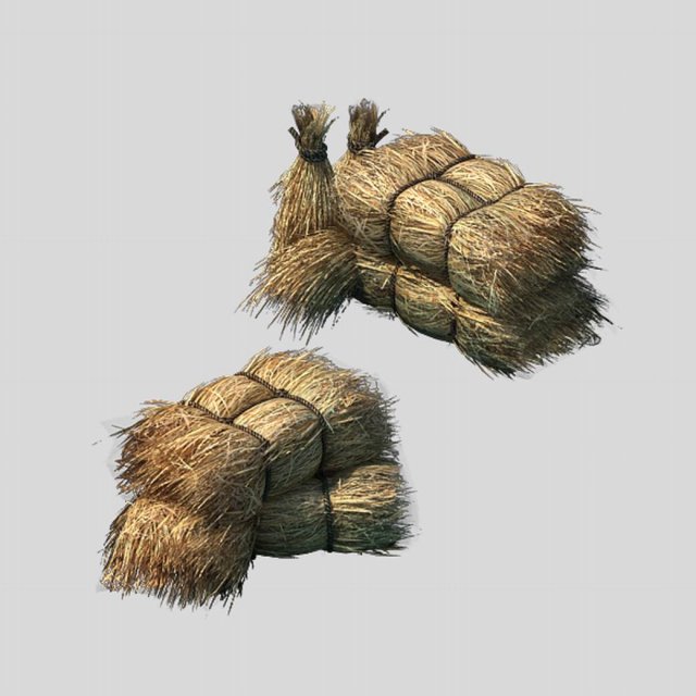 Crop – straw 3D Model