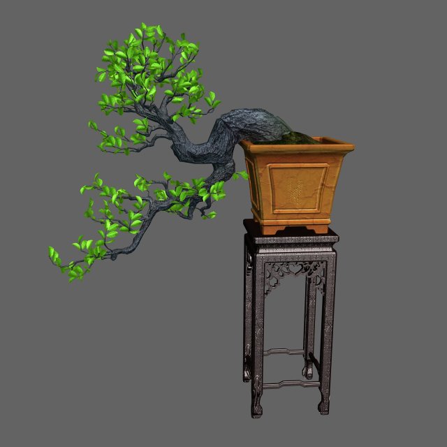 Indoor – potted plants – plants 011 3D Model