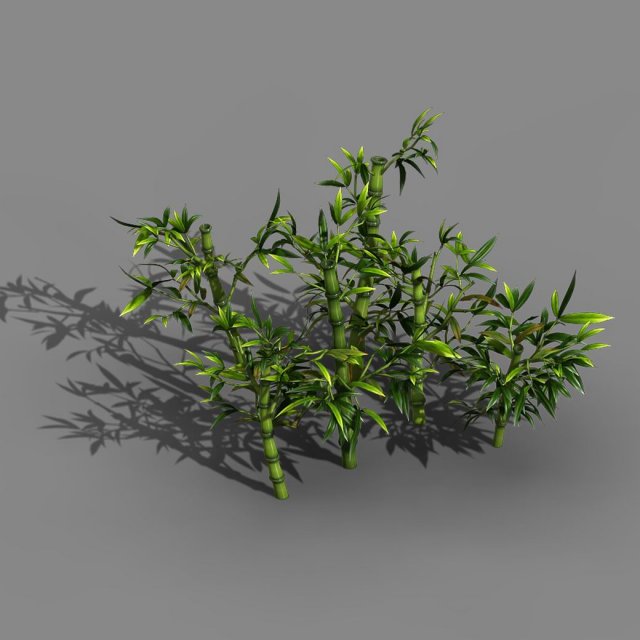 Koike Town – Plant – Bamboo 02 3D Model