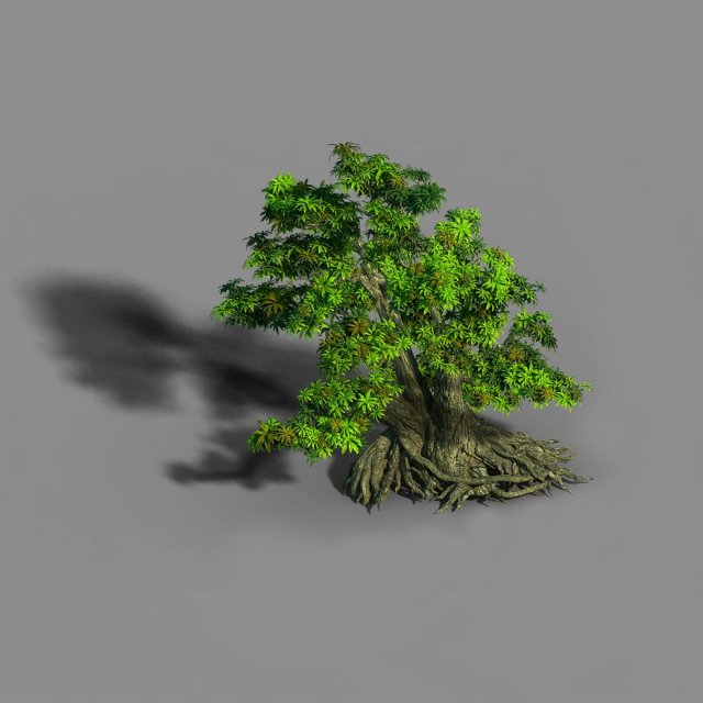 Material – tree 03 3D Model