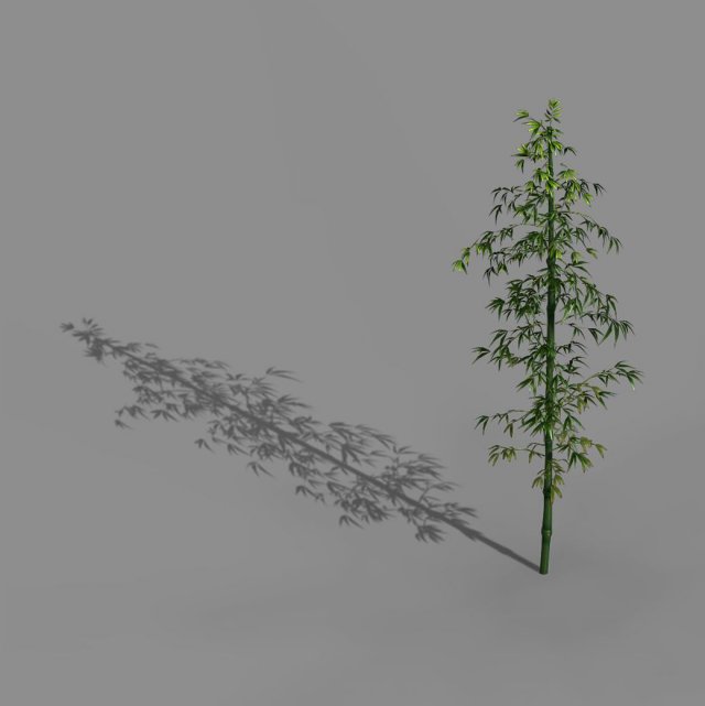 Heyang suburbs – bamboo 01 3D Model