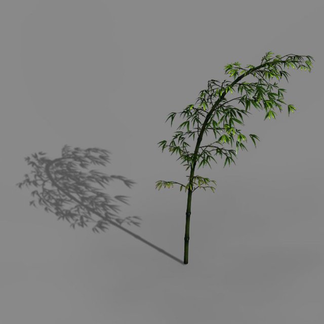 Dazhu Feng – black knot bamboo 03 3D Model