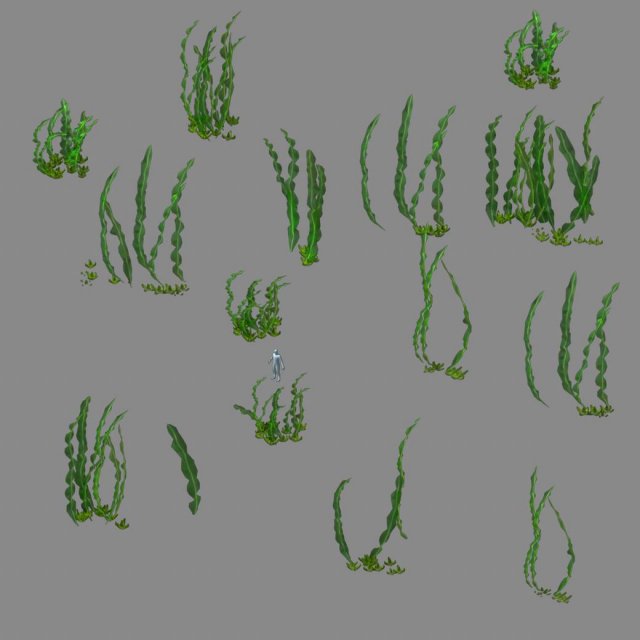 Seabed plant – Kelp 01 3D Model