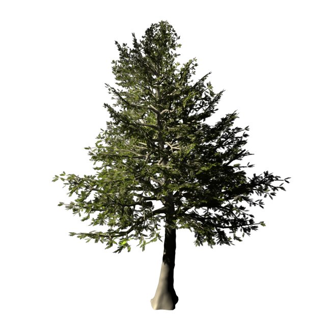 Chennault – Evergreen 33 3D Model