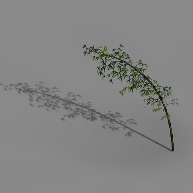 Dazhu Feng – black knot bamboo 04 3D Model