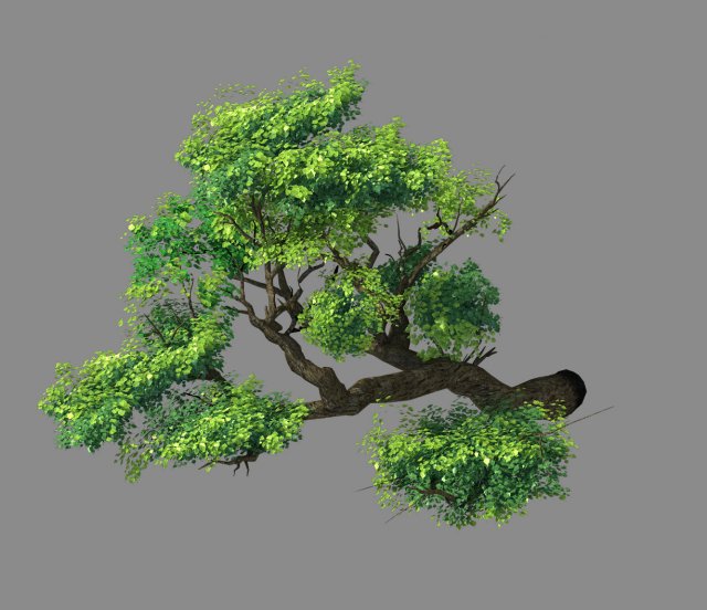 Fairy Mountains – Cliff – Tree 02 3D Model