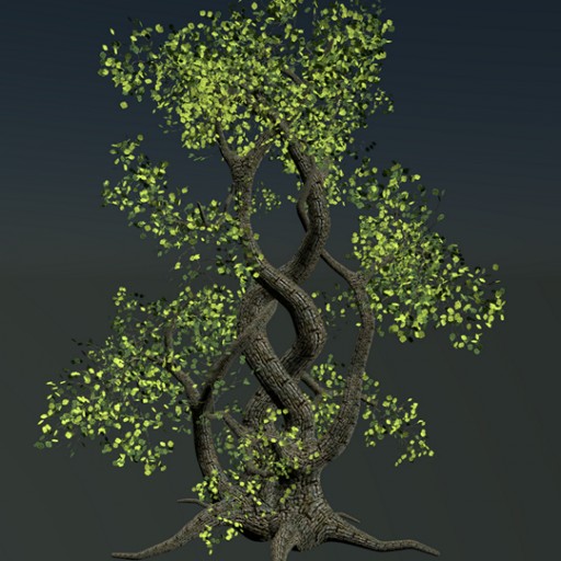 Intertwined Tree						 Free 3D Model