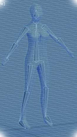 Female human rigged anatomic low-poly model 3D Model