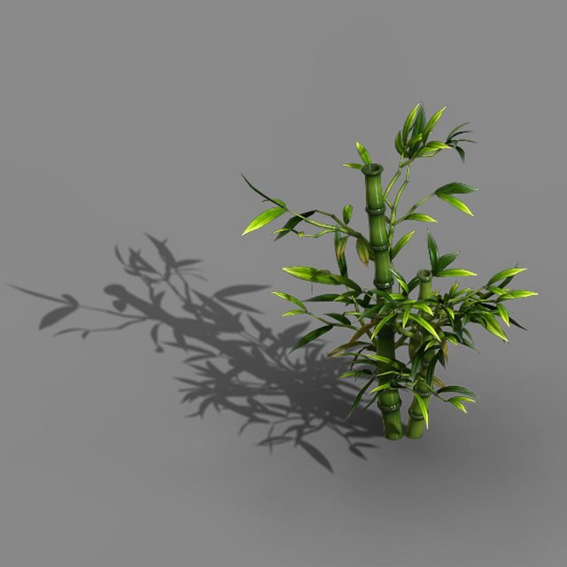 Koike Town – Plant – Bamboo 03 3D Model
