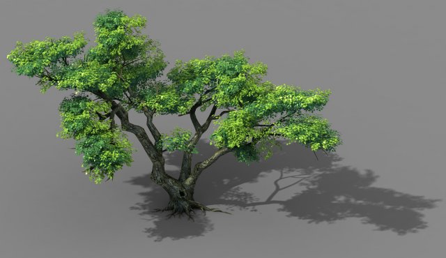 Explore the mountains – Cliff – Tree 03 3D Model