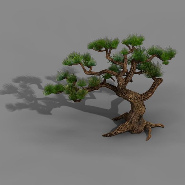 Qingyun Mountain – Pine -01 3D Model