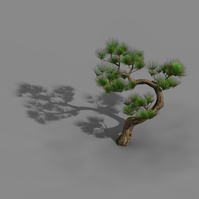 Tianyin Temple – Pine 03 3D Model