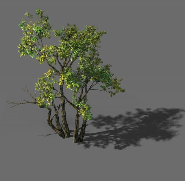 Explore the mountains – grove 01 3D Model