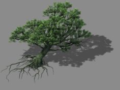 Wu Gorge – big tree 01 3D Model