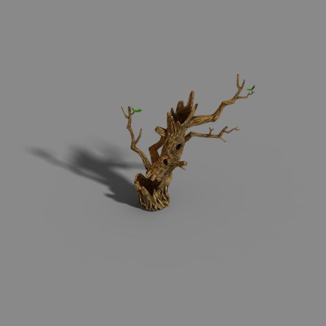 Fox Mountain – Crescent Spring – Tree 01 3D Model