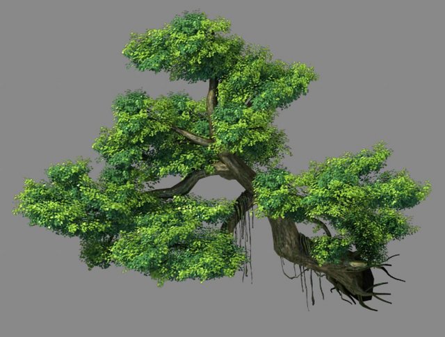 Explore the mountains – Cliff – Tree 01 3D Model