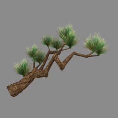 Koike Town – Plants – Pine 01 3D Model