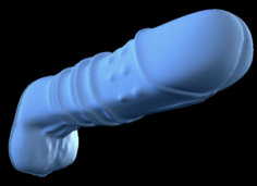 Male penis 3D Model