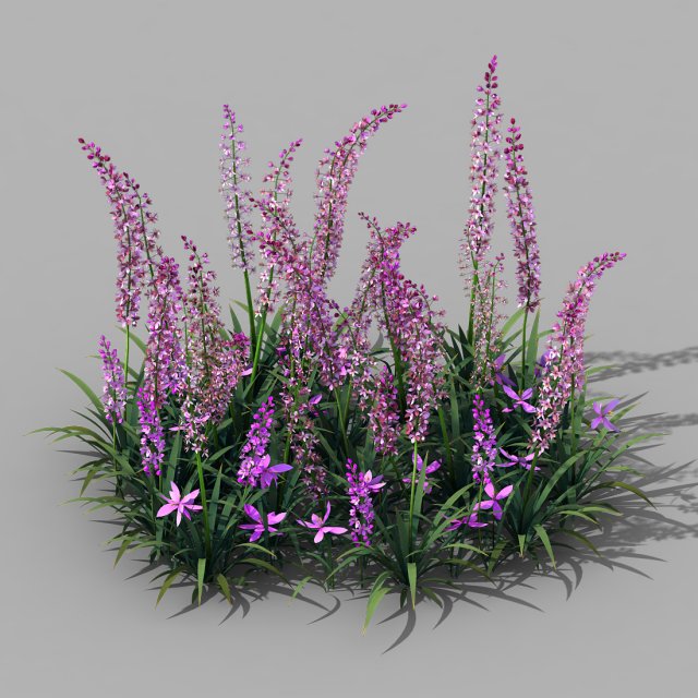 Shanglin Yuan – Plant – Flower 01 3D Model