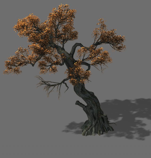 Huashan – plant – tree 02 3D Model