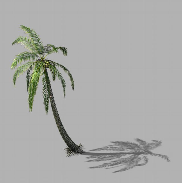 Huangguoshu Waterfall – Coconut Tree 01 3D Model