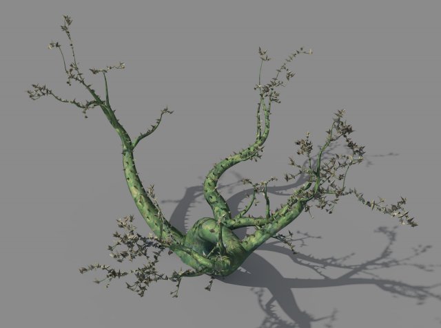 New Village – ornamental tree 01 3D Model