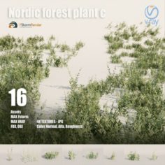Nordic forest plant C 3D Model