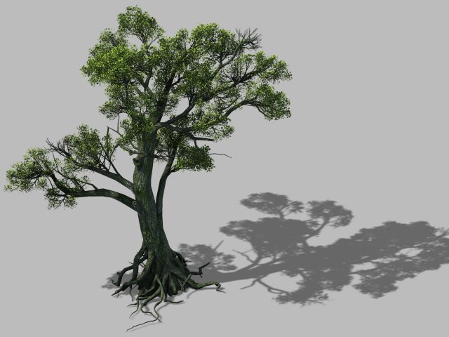 Big tree 1102 3D Model