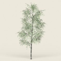 Game Ready Forest Tree 08 3D Model