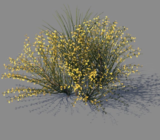 Explore the mountains – plants – shrubs 04 3D Model