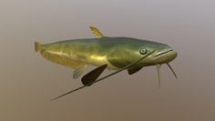 Catfish Som 3D Model