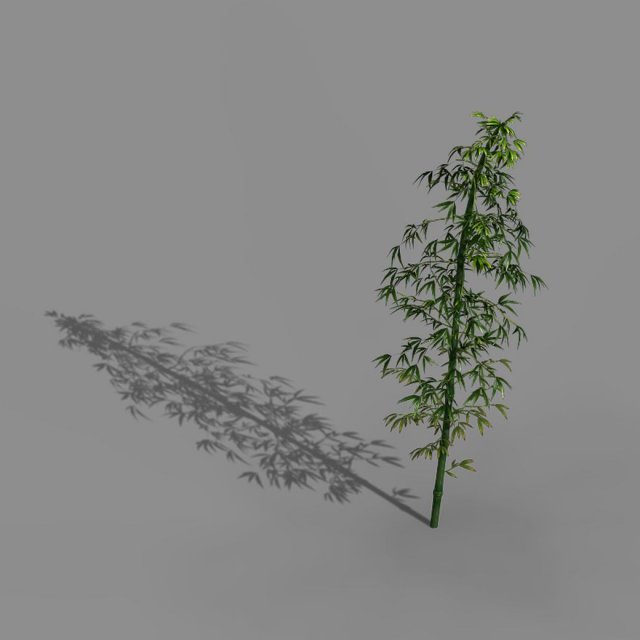 Heyang outskirts – bamboo 02 3D Model