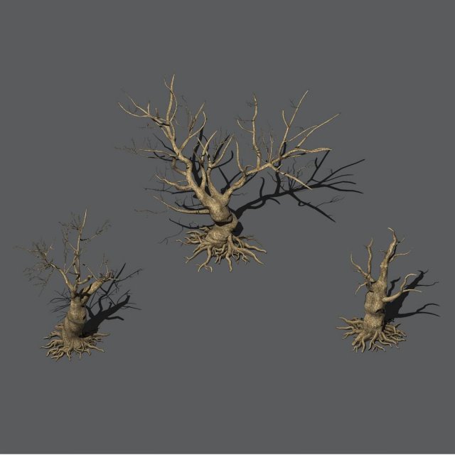 Desert Plants – Dead Trees 271 3D Model