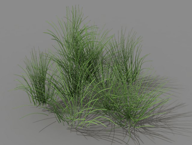 Mountain plants – flowers 04 3D Model