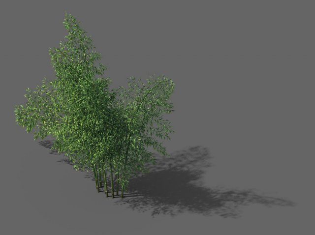 New Village – Bamboo Forest 01 3D Model