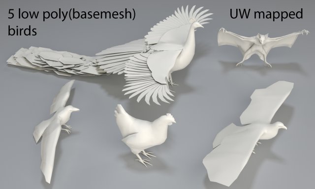 Birds – 5 pieces-low poly-part 2 3D Model