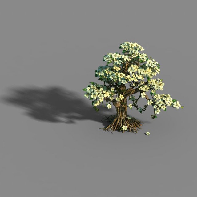 Lanruo Temple – Plants – White Tree 01 3D Model
