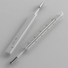 Medical mercury thermometer 3D Model