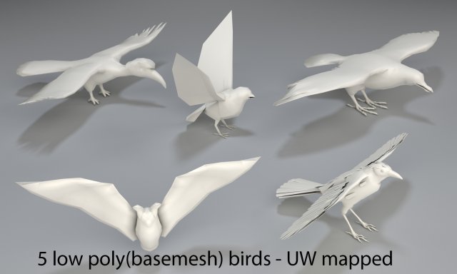 Birds – 5 pieces-low poly-part 3 3D Model