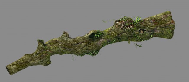 Elven mountains – green algae – dead trees 01 3D Model