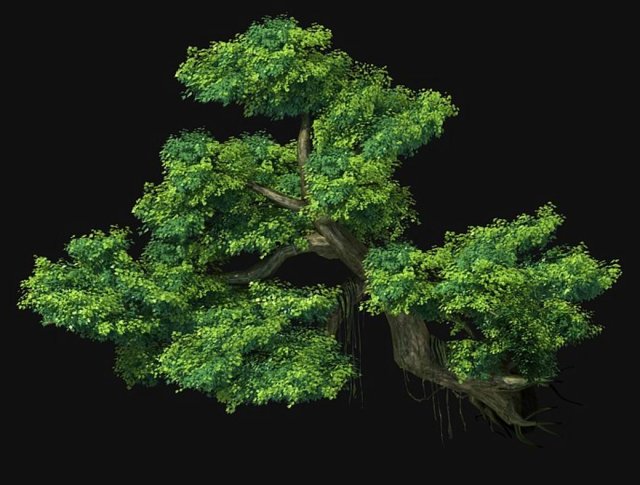 Fairy Mountains – Cliff – Tree 01 3D Model