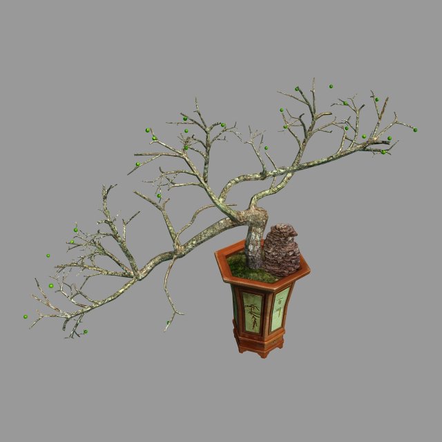 Indoor – potted plants – plants 05 3D Model
